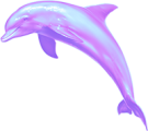 decorative dolphin facing left