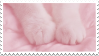 pastel pink photo of kitty paws